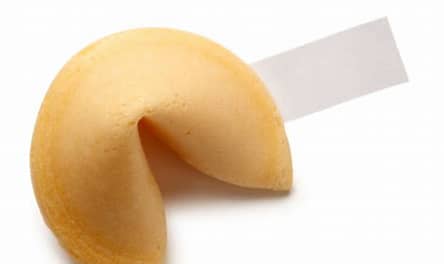 Miss Fortune Cookies... - Chef Stuff