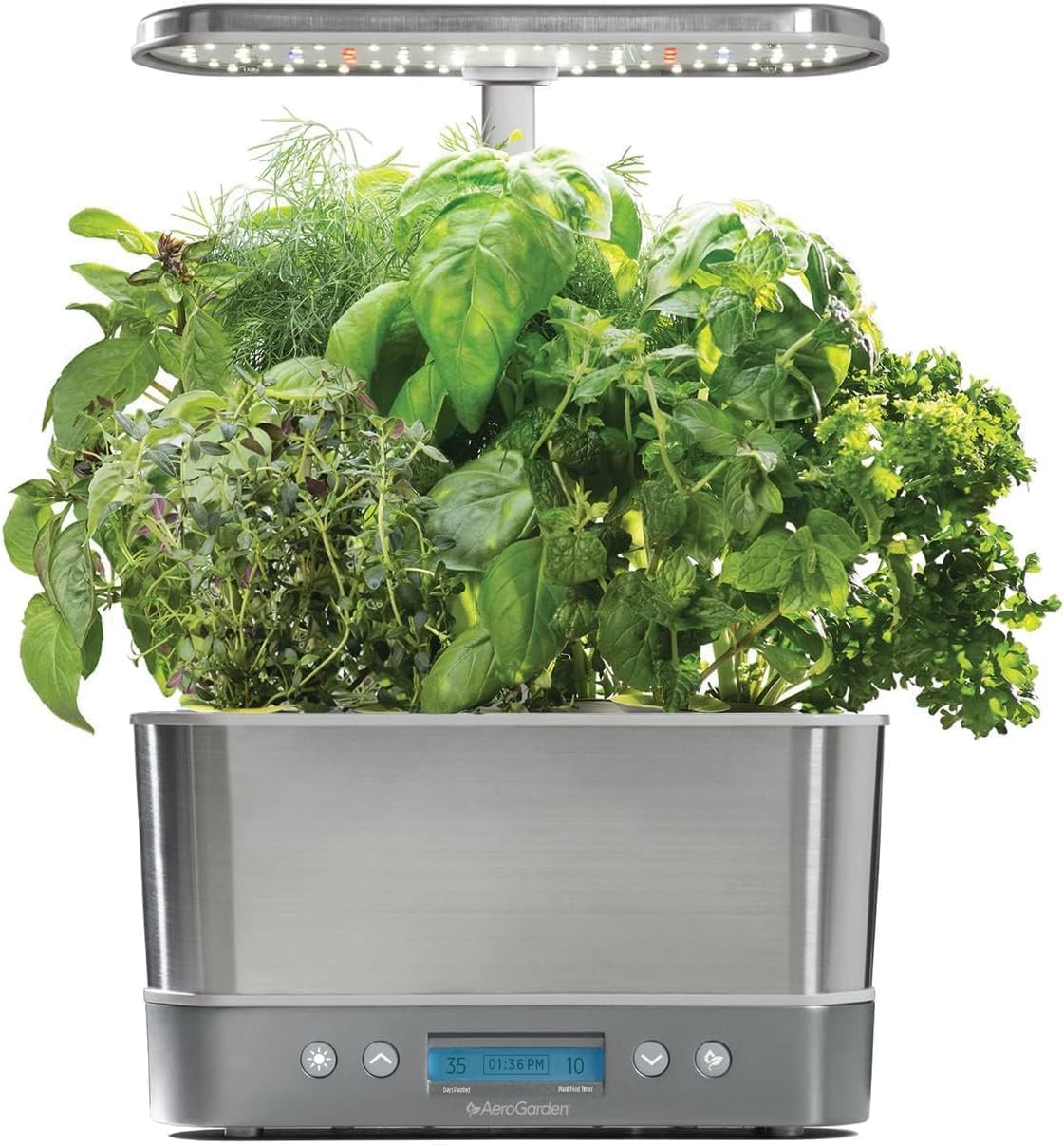 Hydroponic Herbs!