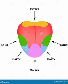 Salt, Fat, Acid, Heat Four-Notebook Set - Chef Stuff